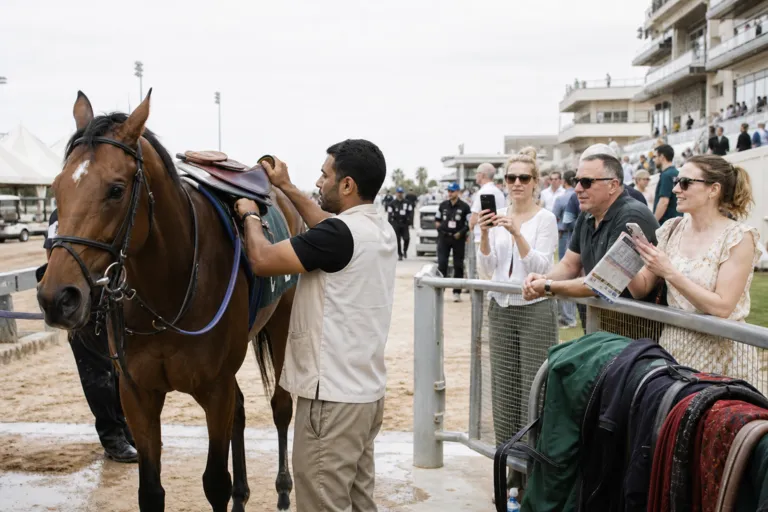 Saudi Equestrian Industry: High-stakes Racing, Smart Investment, and Tourism Momentum