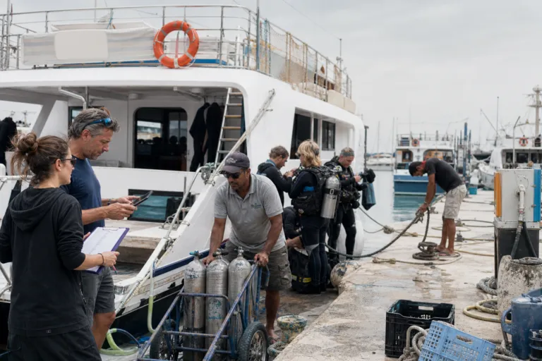 Diving, Sailing, and Adventure Sports: The Red Sea’s Rising B2B Tourism Opportunity