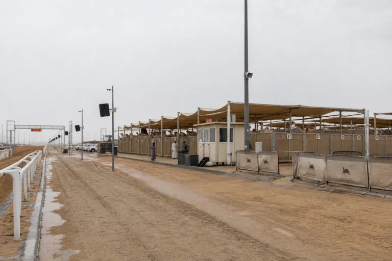 The Camel Racing Industry in Saudi Arabia: Heritage Sport, Prize Economics and Sponsorship Potential